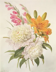 Sprays of Gladioli, Peonies and Lilium Bulbiferum